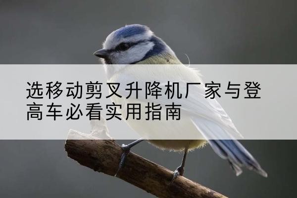 濠江电动升降机厂家-选移动剪叉升降机厂家与登高车必看实用指南