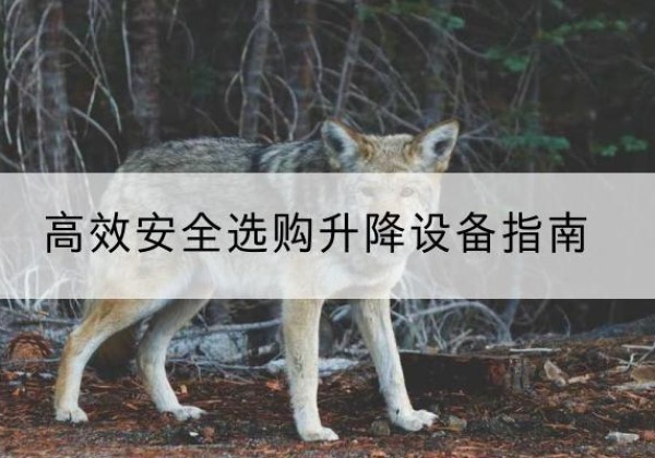 濠江升降货梯厂家推荐-*安全选购升降设备指南