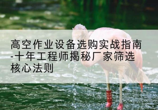 濠江剪叉式升降机厂家-高空作业设备选购实战指南-十年工程师揭秘厂家筛选核心法则
